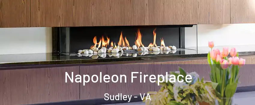  Napoleon Fireplace Sudley - VA